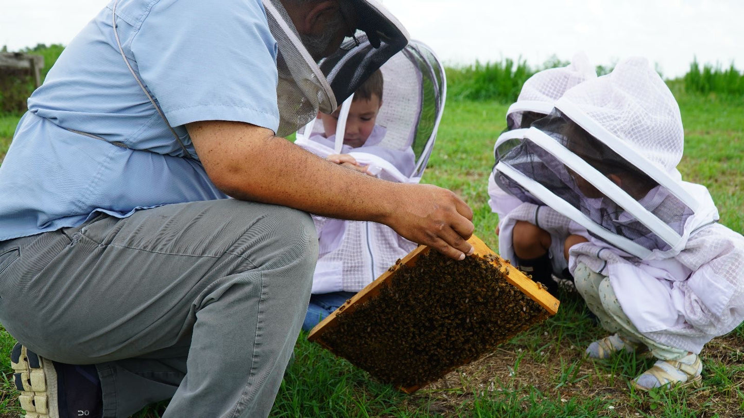 Chris holding a frame of bees at Heritage Bee Farm apiary in Myakka City Florida — mated queen bee production