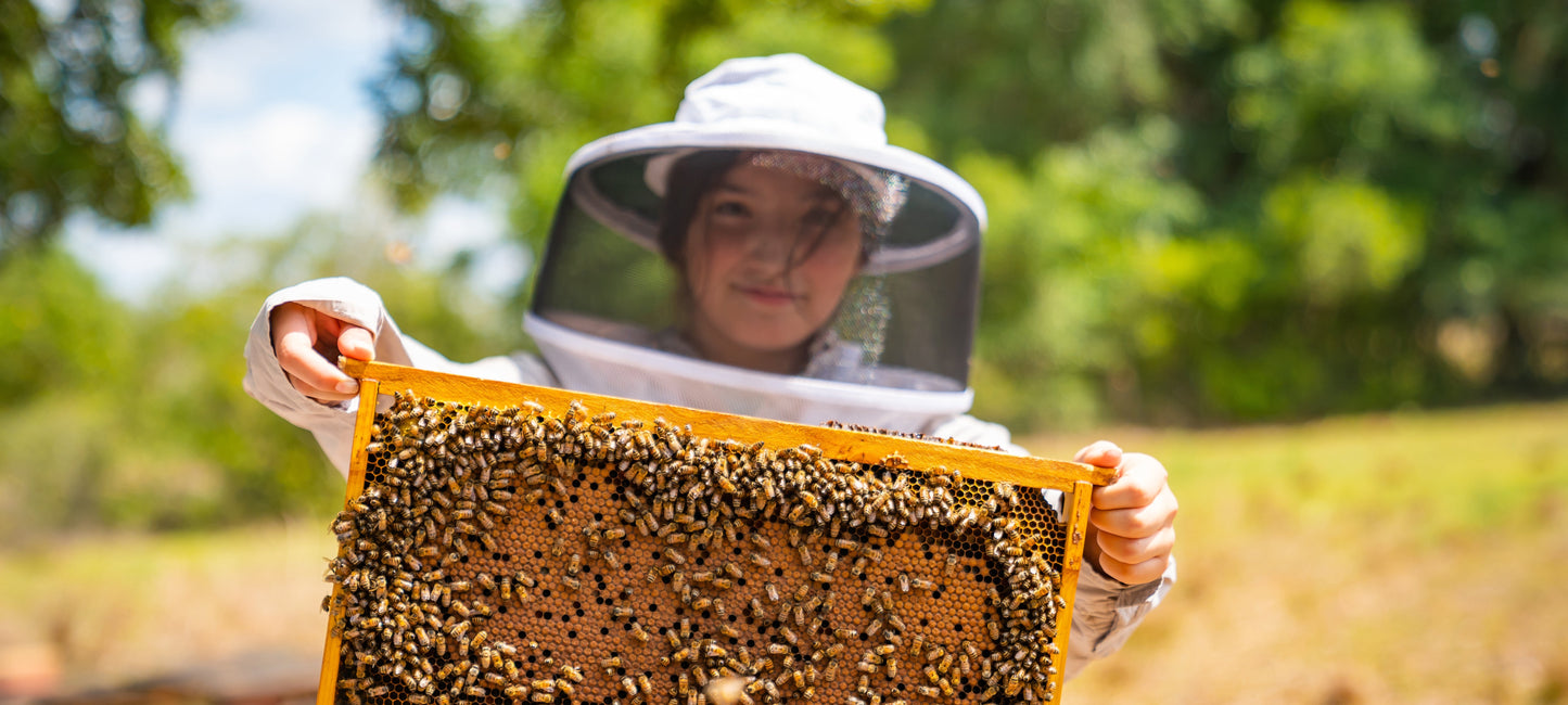 beekeeper in veil opening a hive frame with visitors watching nearby — captures the experience immediately