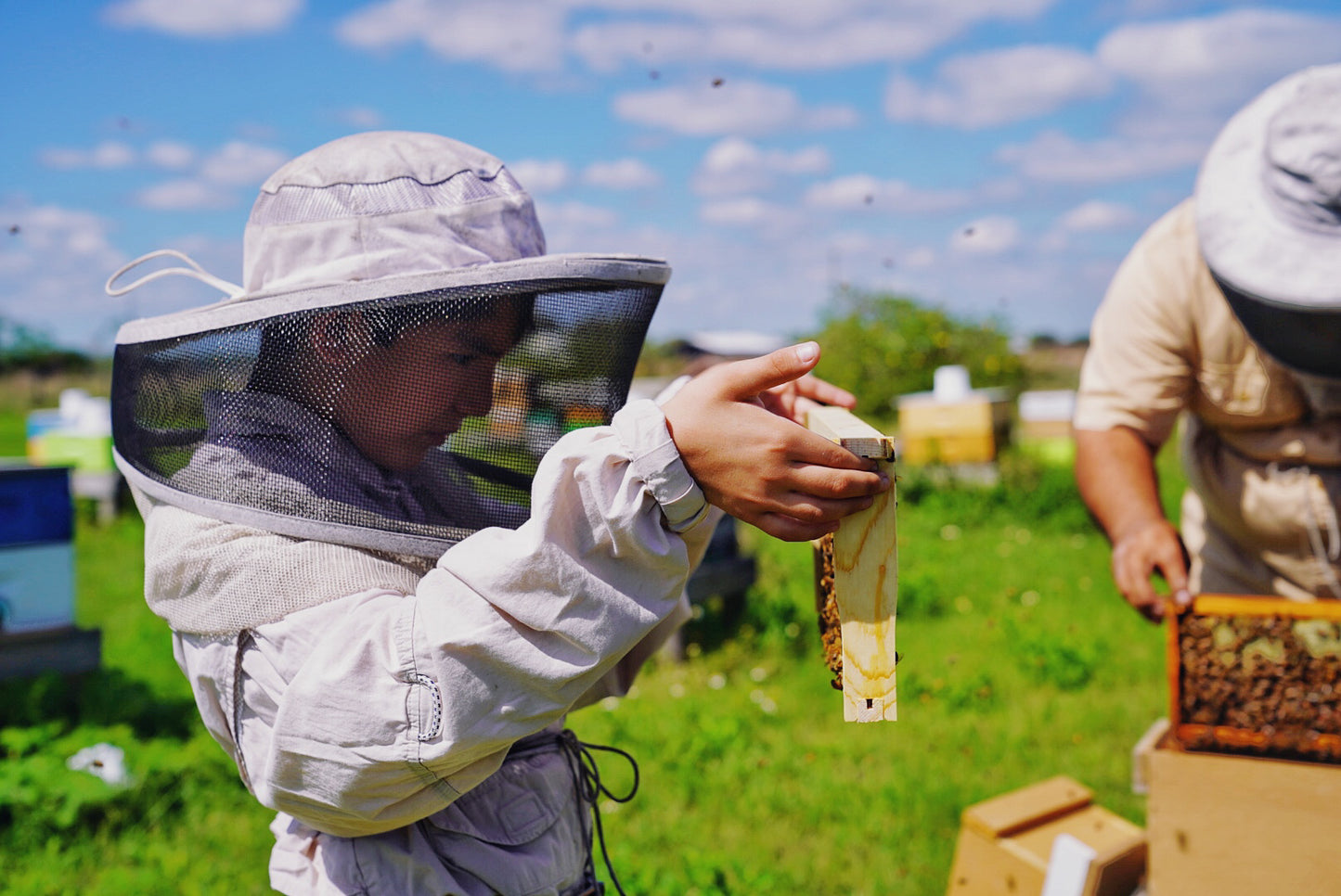 Bee Farm Experience