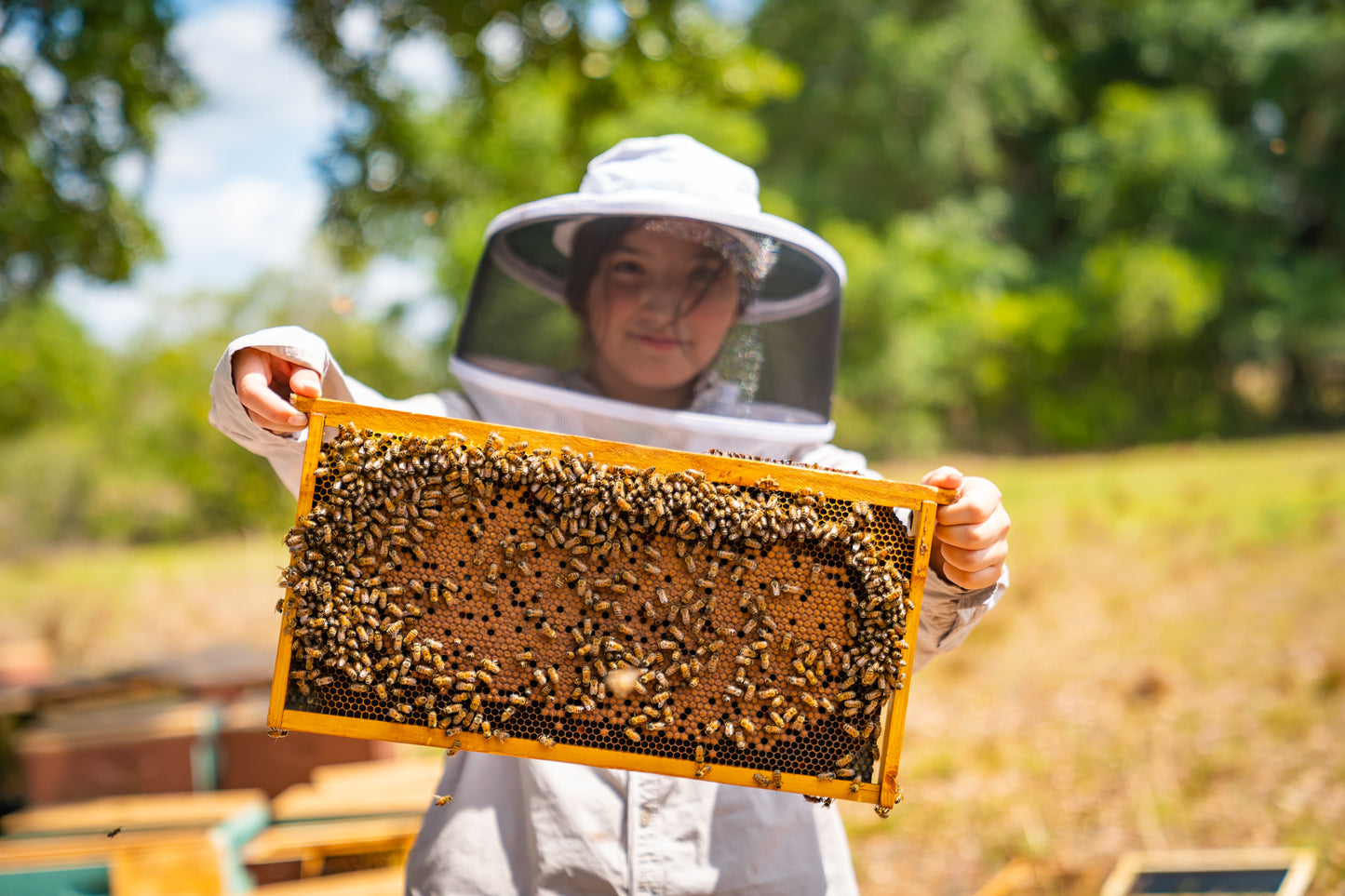 Heritage Bee Farm 