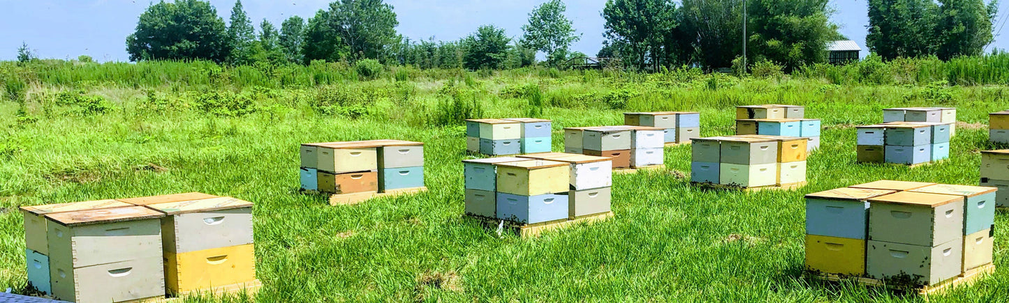 Crop Honeybee Pollination Services in Central and South Florida